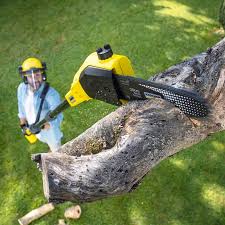 Best Lawn Grading and Leveling  in Totowa, NJ